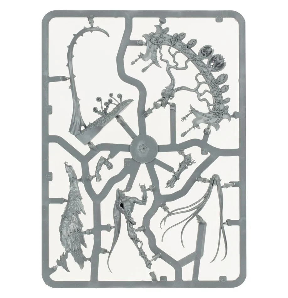 Age of Sigmar: Sylvaneth: Warsong Revenant - Image 4