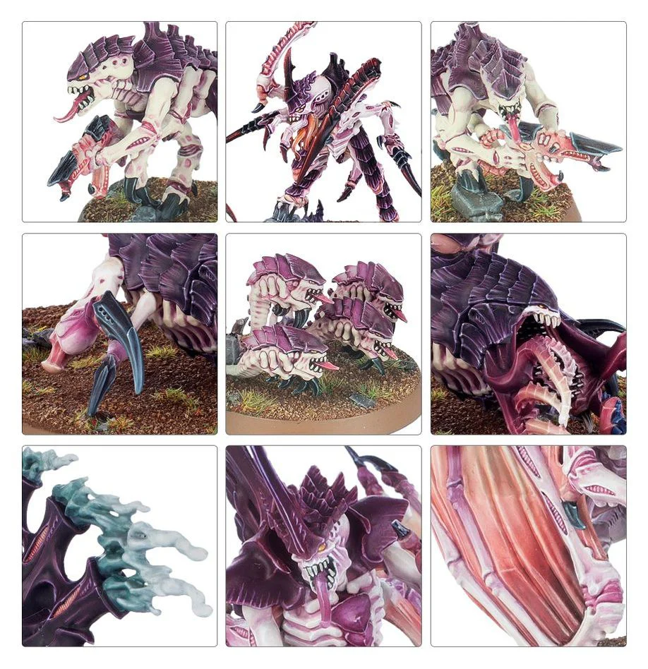 Warhammer 40,000: Tyranids: Combat Patrol - Image 8
